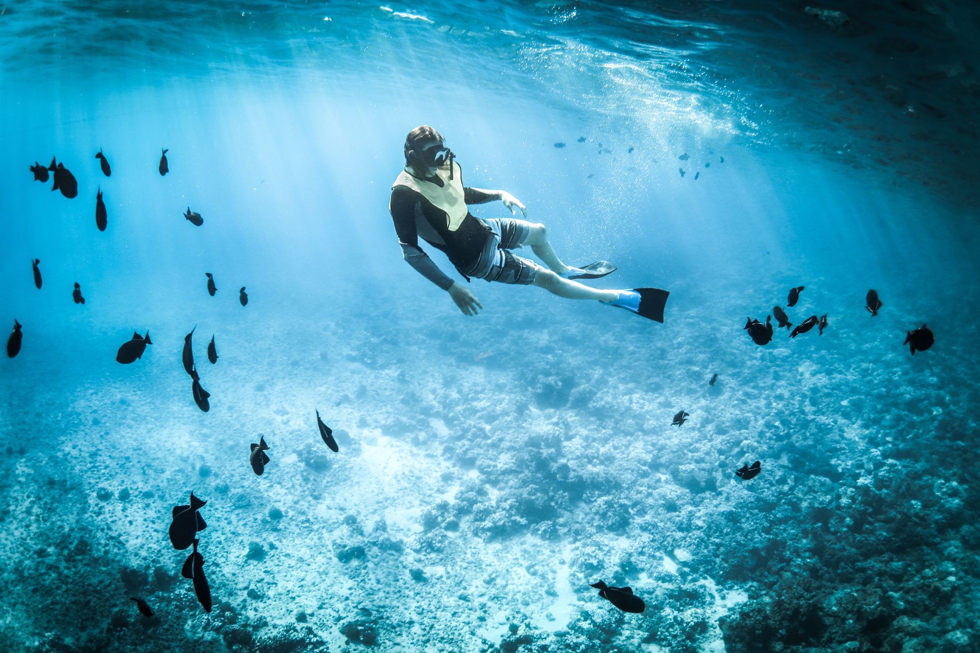 Respirer sous l’eau, un rêve impossible ?